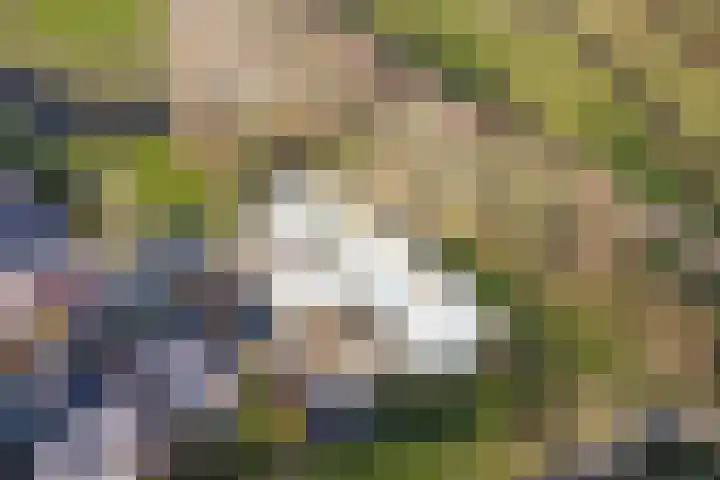 Klipper 1 Schiedam thumbnail 32