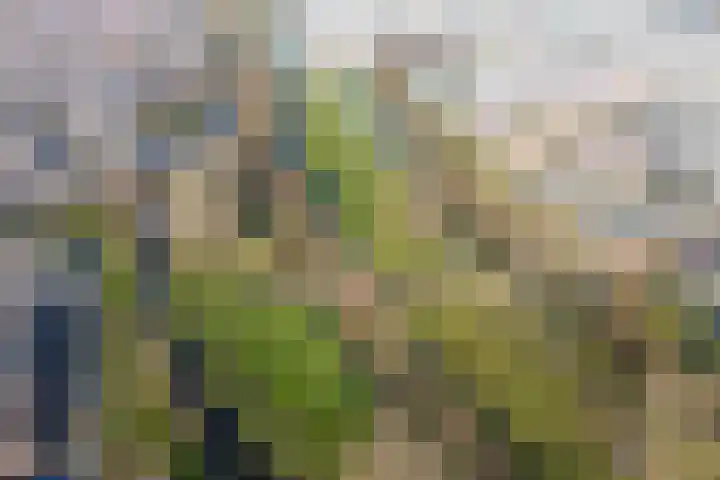Klipper 1 Schiedam thumbnail 35