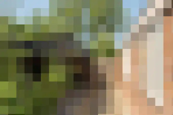Klipper 2 Franeker thumbnail 34