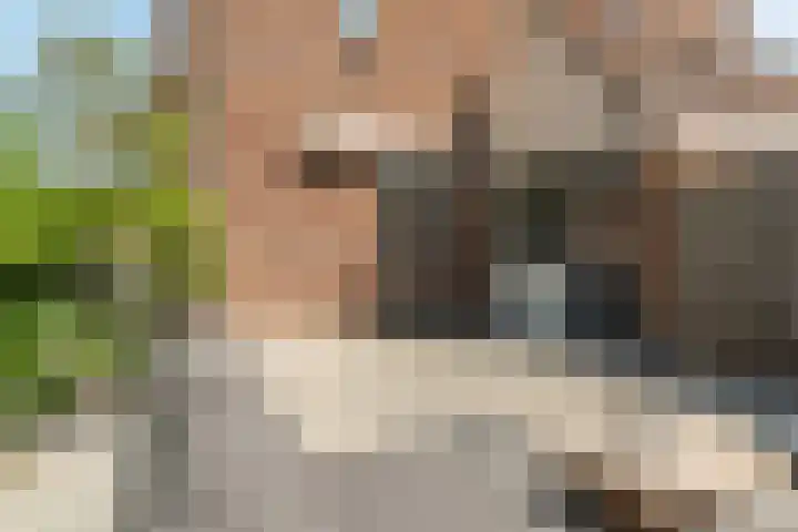 Klipper 2 Franeker thumbnail 35