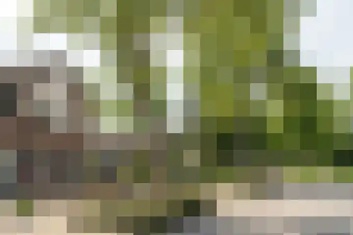 Klipper 2 Franeker thumbnail 39