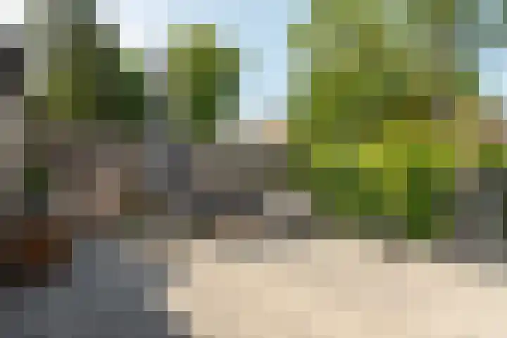 Klipper 2 Franeker thumbnail 4