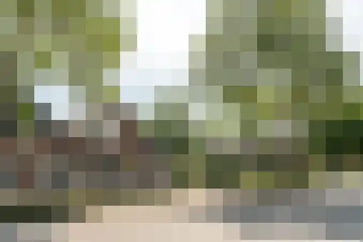 Klipper 2 Franeker thumbnail 40