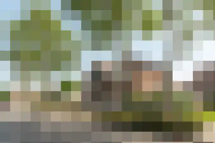 Klipper 2 Franeker thumbnail 43