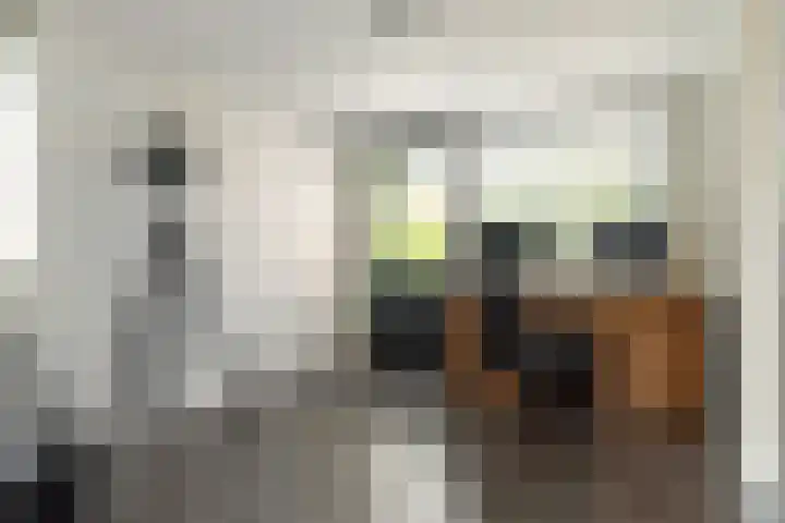 Klipper 2 Franeker thumbnail 9