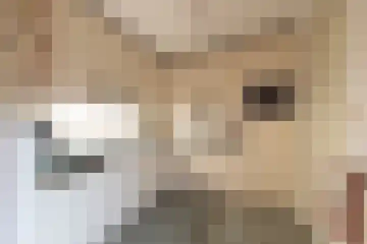 Klipper 23 Zuidhorn thumbnail 14