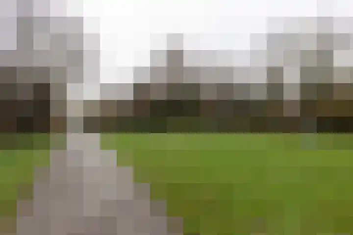 Klipper 23 Zuidhorn thumbnail 5