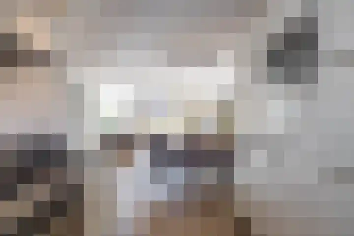 Klipper 24 Zuidhorn thumbnail 12