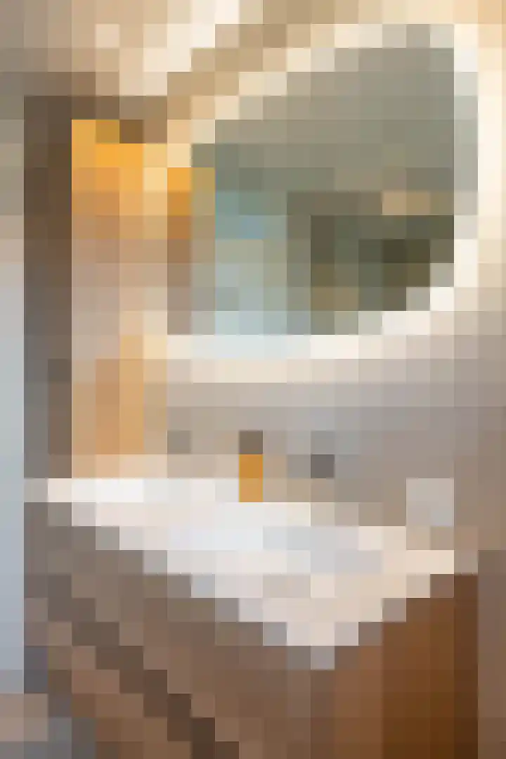 Klipper 24 Zuidhorn thumbnail 30