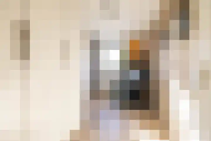 Klipper 24 Zuidhorn thumbnail 31