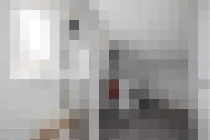 Klipper 24 Zuidhorn thumbnail 33