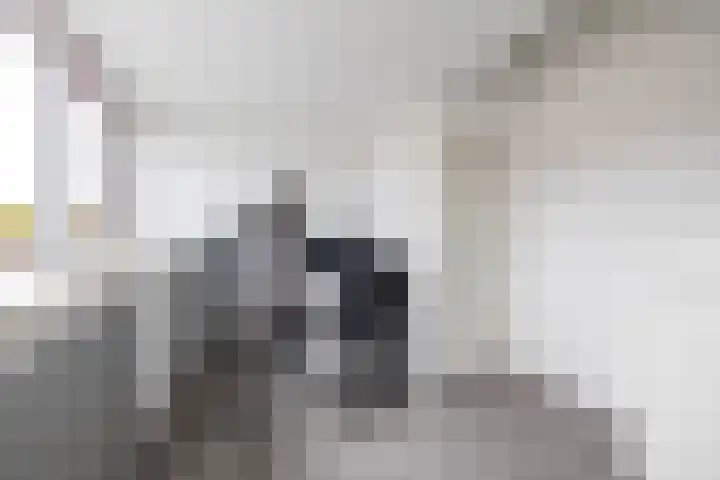 Klipper 24 Zuidhorn thumbnail 39