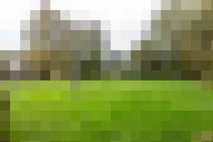 Klipper 24 Zuidhorn thumbnail 54