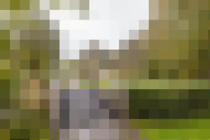 Klipper 24 Zuidhorn thumbnail 55
