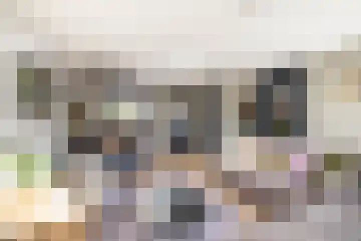 Klipper 24 Zuidhorn thumbnail 6