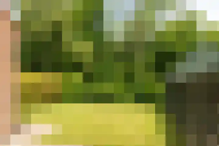 Klipper 77 Franeker thumbnail 28