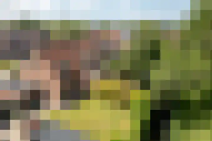 Klipper 77 Franeker thumbnail 5
