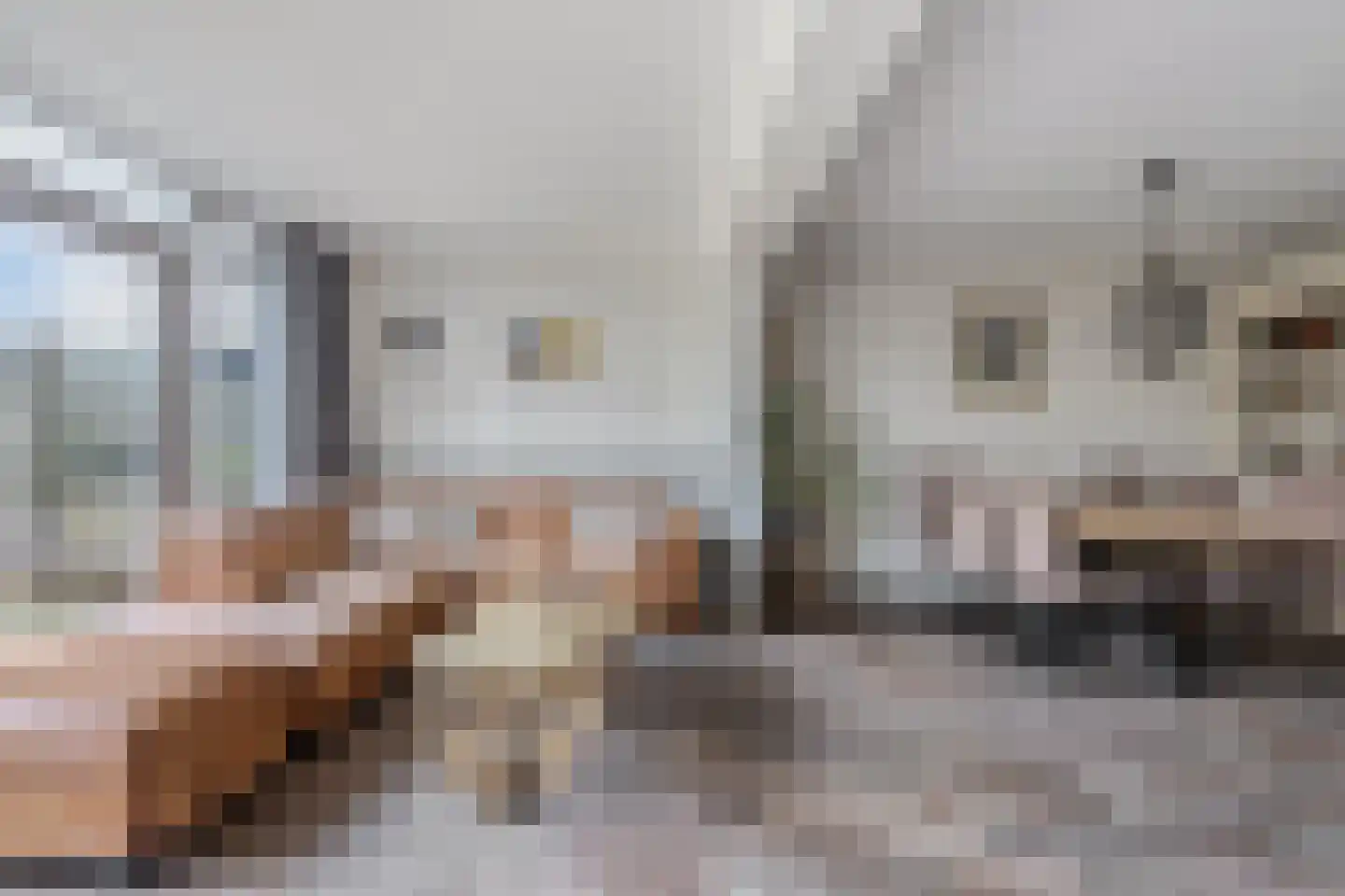 Klipper 8 Obdam thumbnail 16