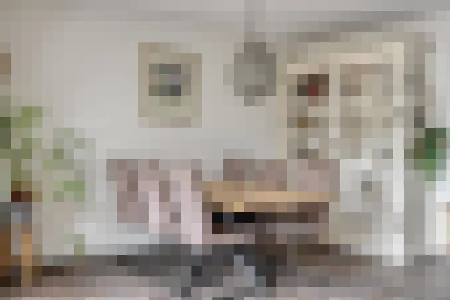 Klipper 8 Obdam thumbnail 20