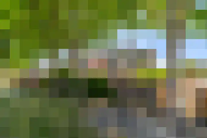 Klipper 8 Obdam thumbnail 21