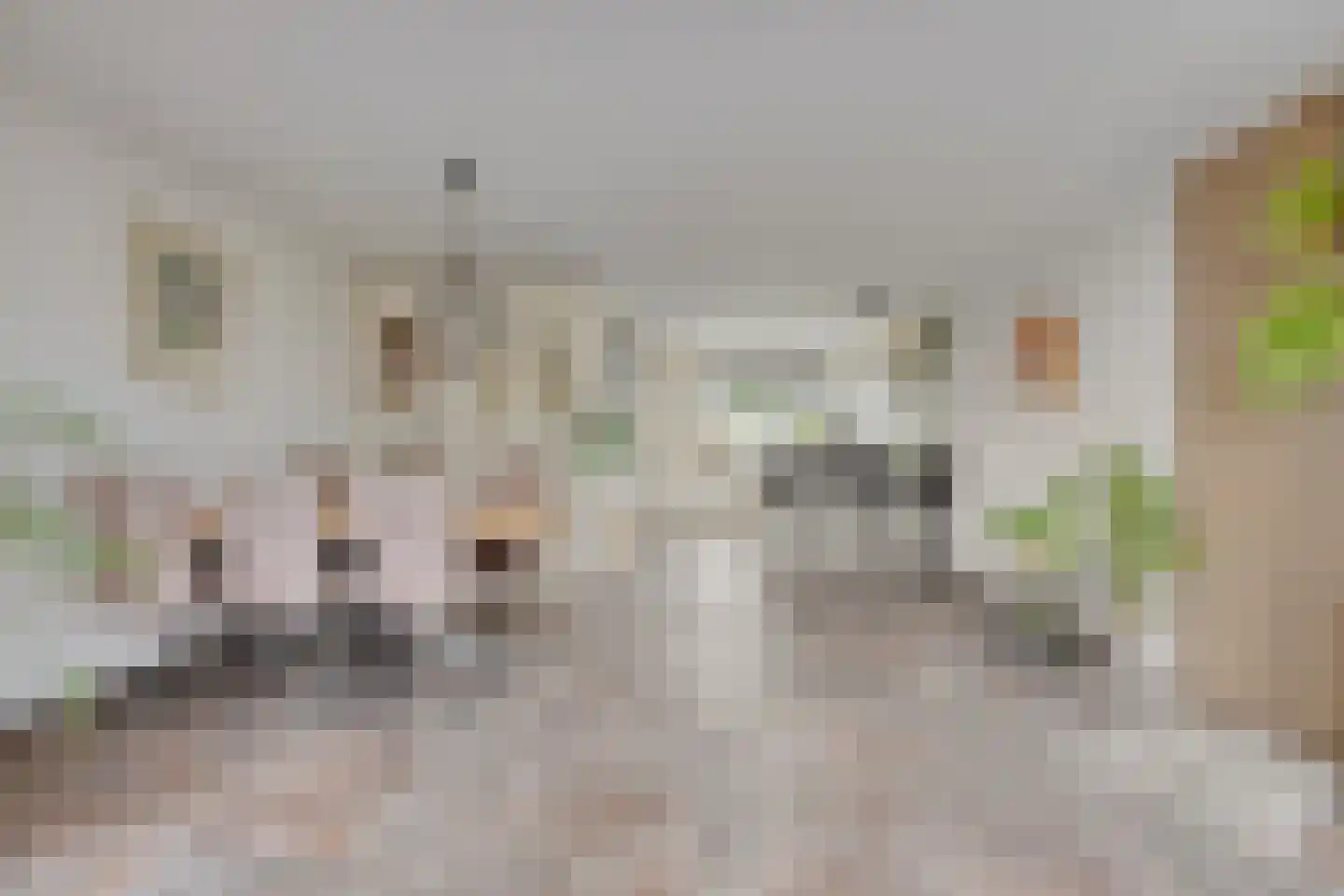 Klipper 8 Obdam thumbnail 24