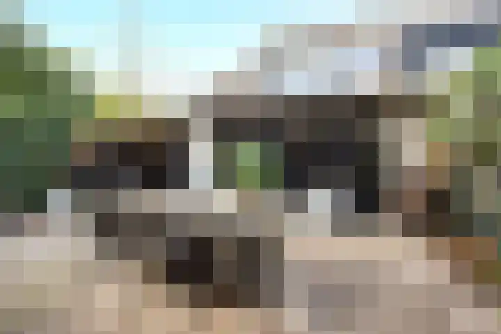 Klipper 8 Obdam thumbnail 26