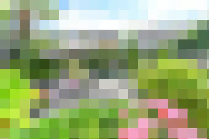 Klipper 83 Velserbroek thumbnail 11