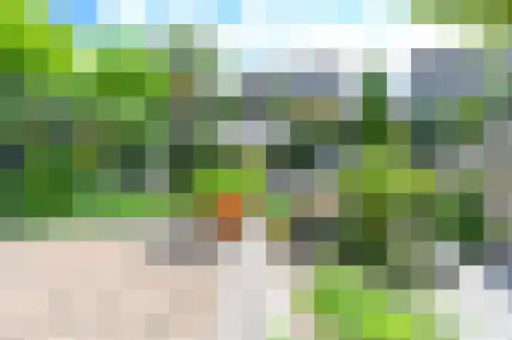 Klipper 83 Velserbroek thumbnail 12