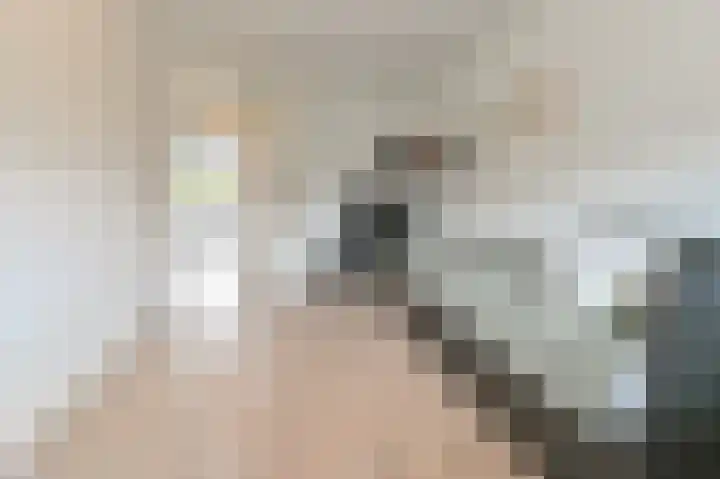 Klipper 83 Velserbroek thumbnail 29