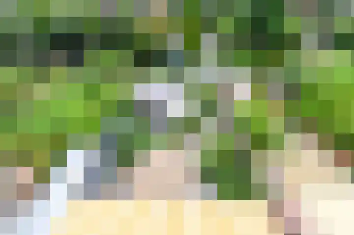Klipper 83 Velserbroek thumbnail 40