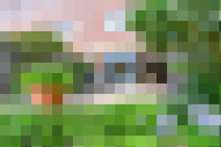 Klipper 83 Velserbroek thumbnail 43