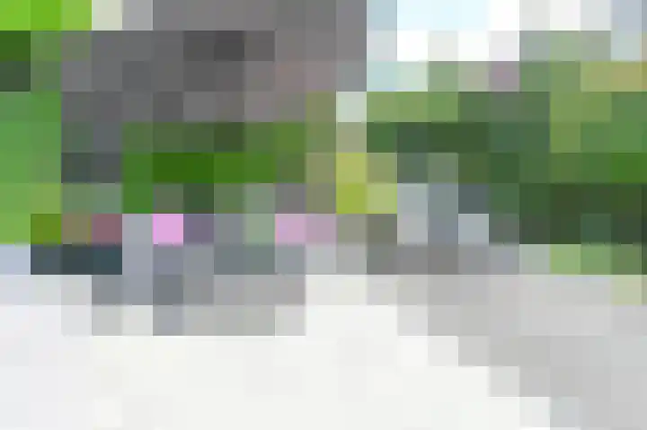 Klipper 83 Velserbroek thumbnail 45