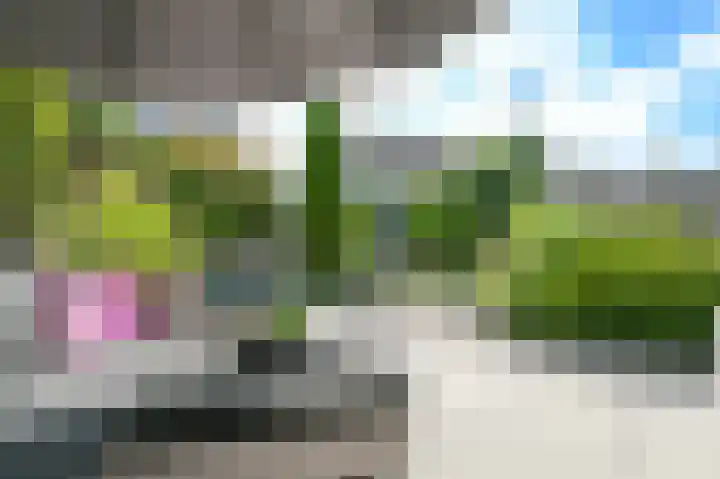 Klipper 83 Velserbroek thumbnail 46