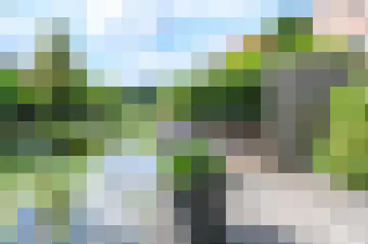 Klipper 83 Velserbroek thumbnail 48