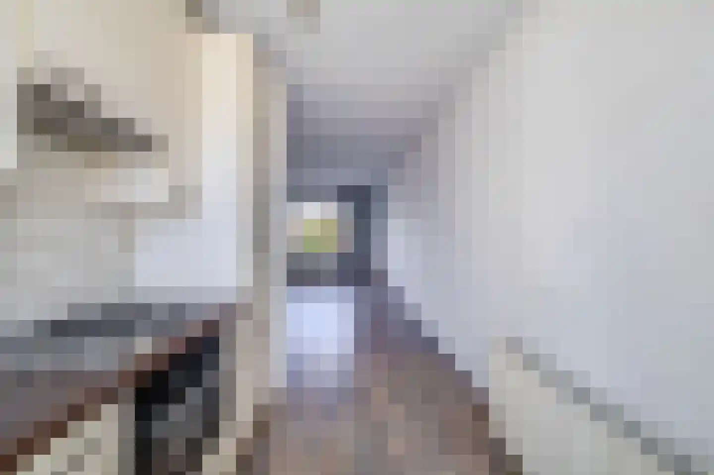 Klipperdijk 10 Lisse thumbnail 18