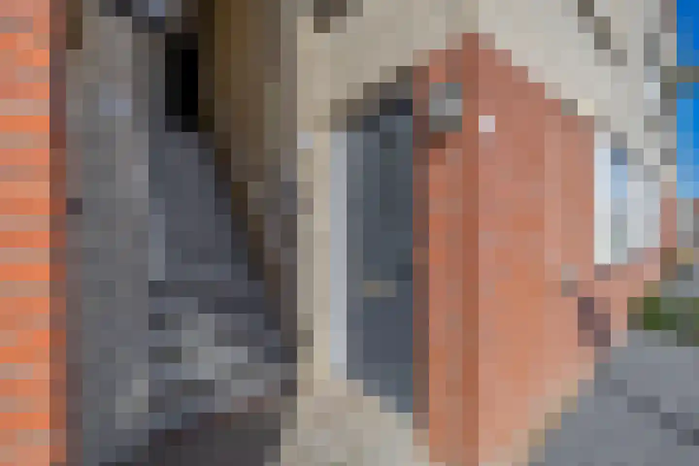 Klipperdijk 10 Lisse thumbnail 5
