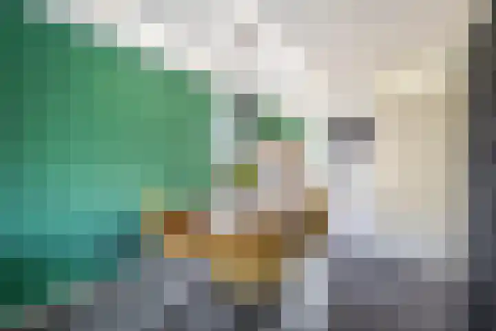 Klipperdijk 2 Lisse thumbnail 11