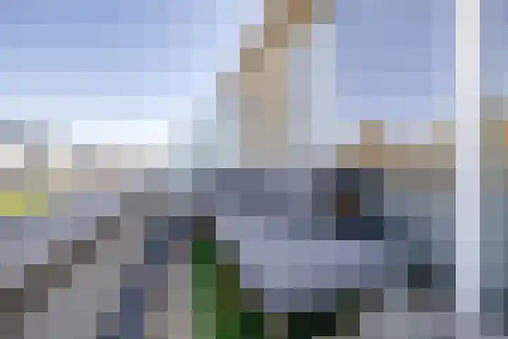 Klipperdijk 22 Lisse thumbnail 27