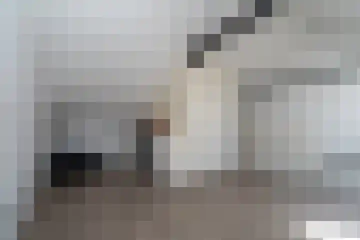 Klipperstraat 16 Veendam thumbnail 28