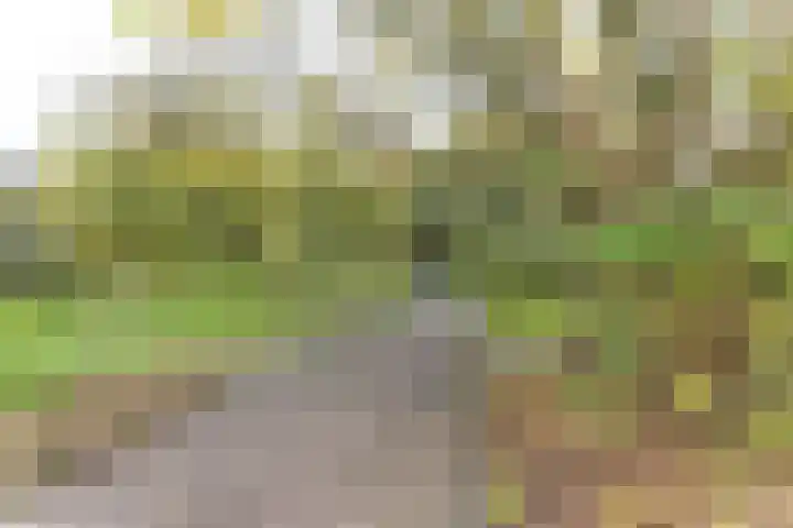Klipperwerf 35 Gouda thumbnail 15