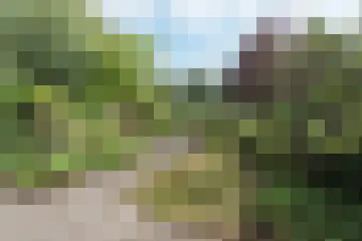 Klipperwerf 35 Gouda thumbnail 4
