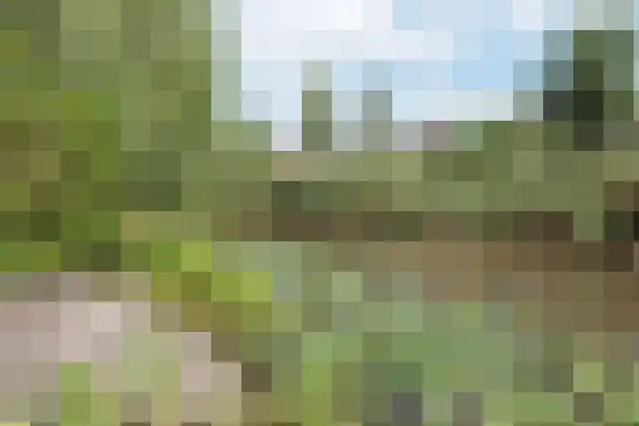 Klipperwerf 35 Gouda thumbnail 5