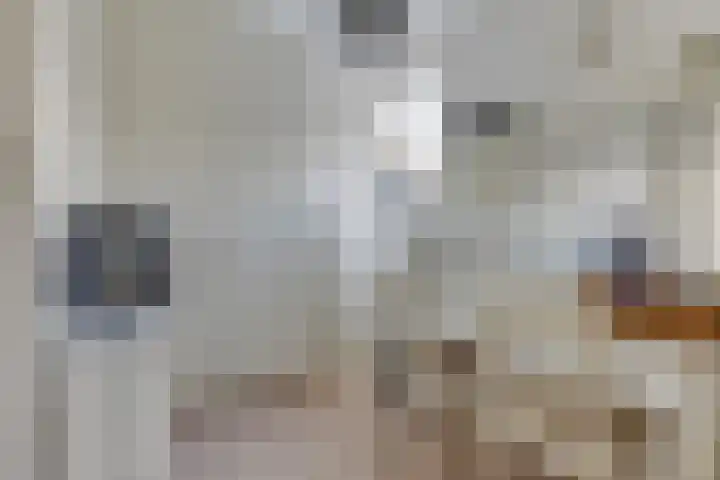 Kloet 28 Obdam thumbnail 22
