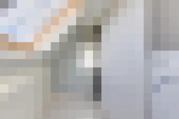 Kloet 28 Obdam thumbnail 38