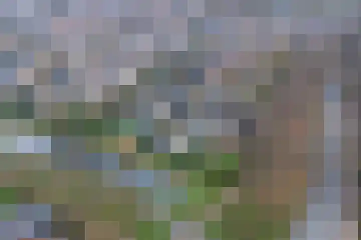 Kloetschup 1 Warnsveld thumbnail 39