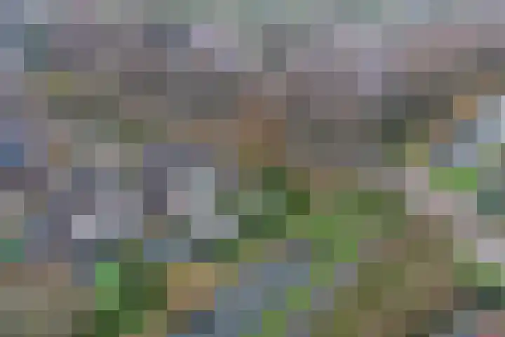 Kloetschup 1 Warnsveld thumbnail 4