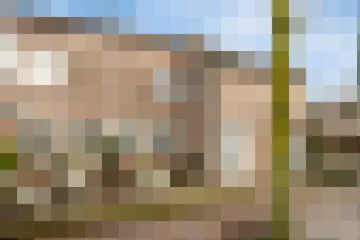 Klokbeker 21 in Heesch