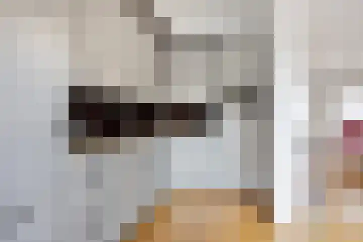 Klokbeker 21 Heesch thumbnail 15