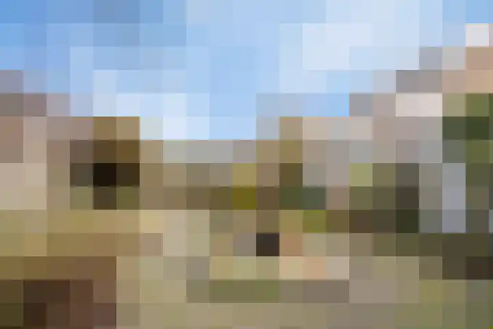 Klokbeker 21 Heesch thumbnail 32