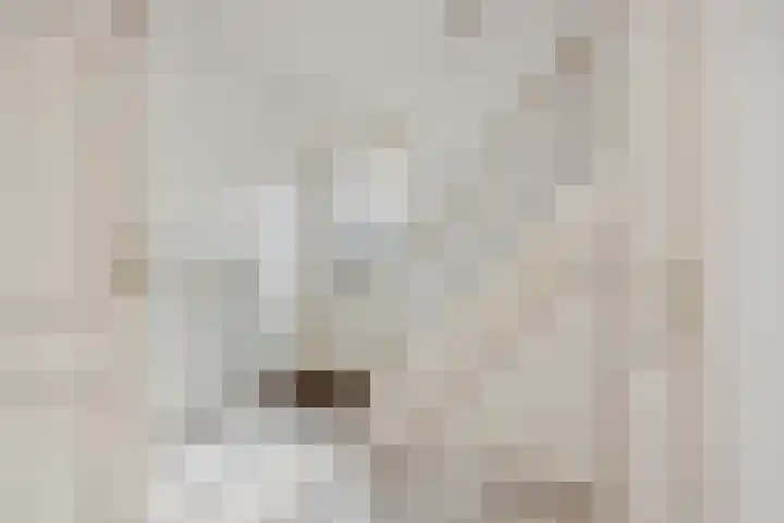 Klokbeker 40 Heesch thumbnail 12